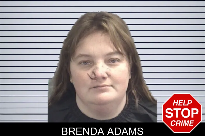 Brenda Adams Mugshots
