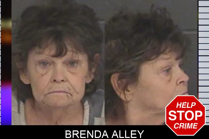 Brenda Alley Mugshots