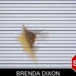 Brenda Dixon Mugshots