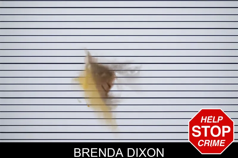 Brenda Dixon Mugshots