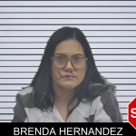 Brenda Hernandez mugshot