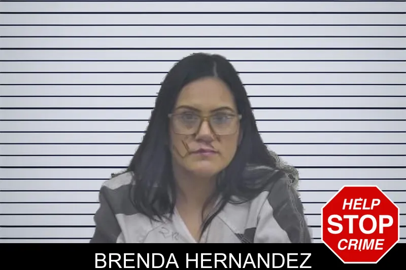 Brenda Hernandez mugshot