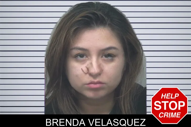 Brenda Velasquez mugshot