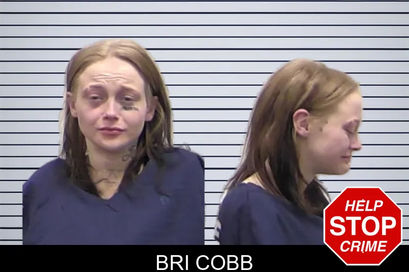 Bri Cobb mugshot