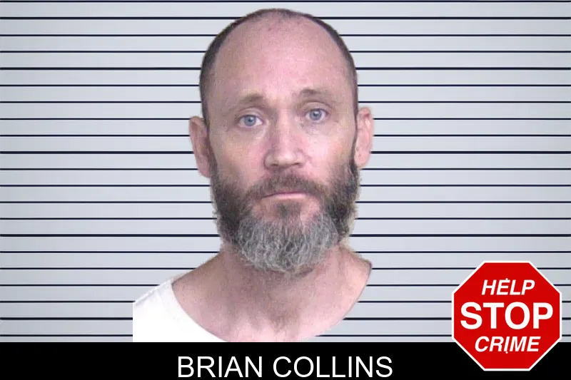 Brian Collins Mugshots