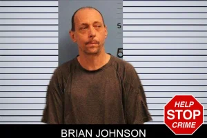 Brian Johnson mugshot