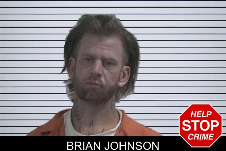 Brian Johnson mugshot – McDuffie County , Georgia Brian Johnson