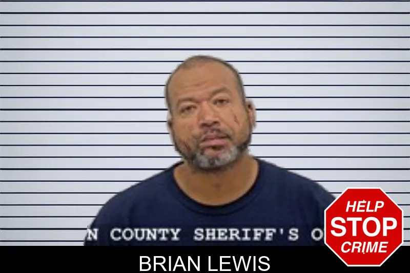 Brian Lewis mugshot