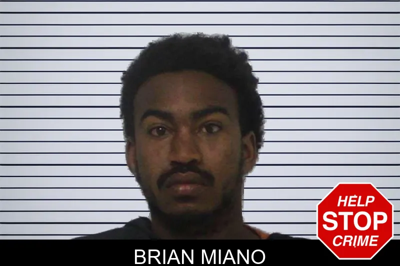 Brian Miano mugshot