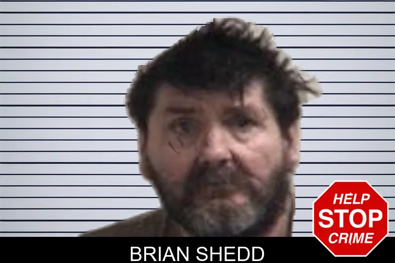 Brian Shedd Mugshots