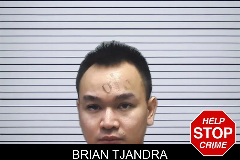 Brian Tjandra Mugshots