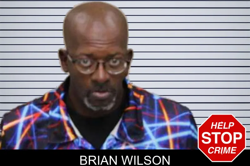 Brian Wilson Mugshots