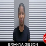 Brianna Gibson Mugshots