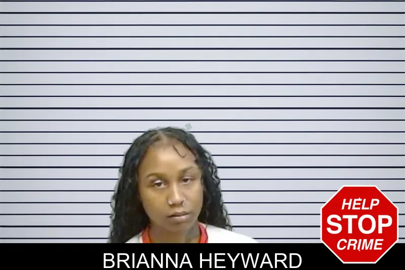 Brianna Heyward Mugshots