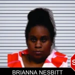 Brianna Nesbitt Mugshots