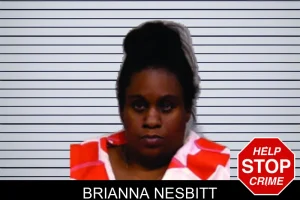 Brianna Nesbitt mugshot