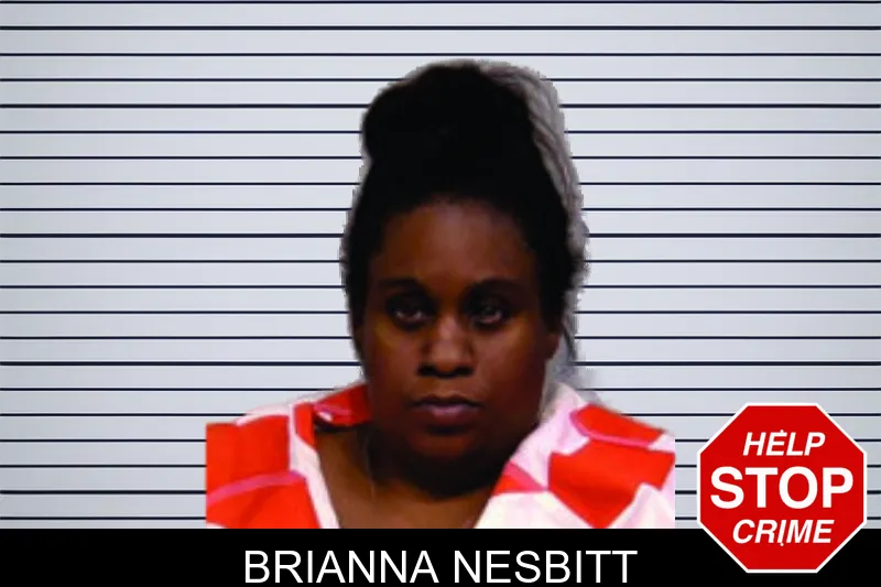 Brianna Nesbitt Mugshots