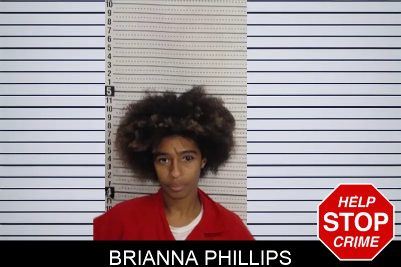 Brianna Phillips Mugshots