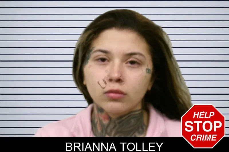 Brianna Tolley Mugshots