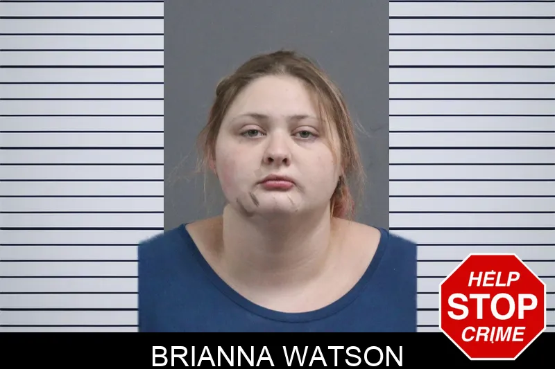 Brianna Watson Mugshots