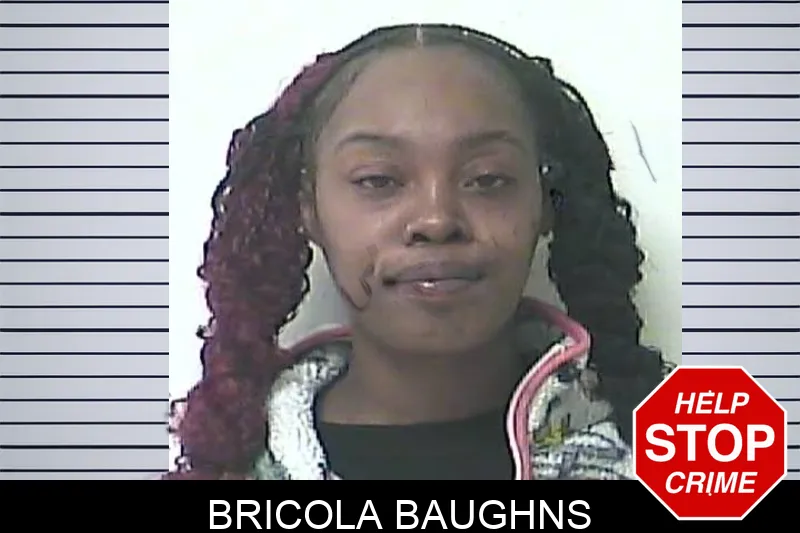 Bricola Baughns Mugshots