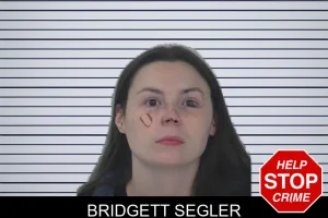 Bridgett Segler mugshot