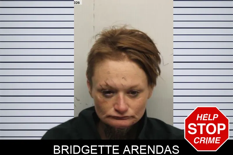 Bridgette Arendas mugshot