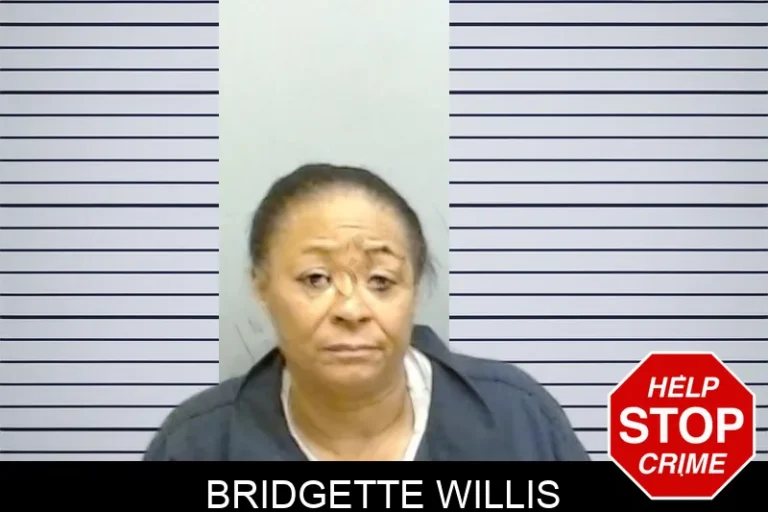 Bridgette Willis mugshot – Fulton County , Georgia Bridgette Willis