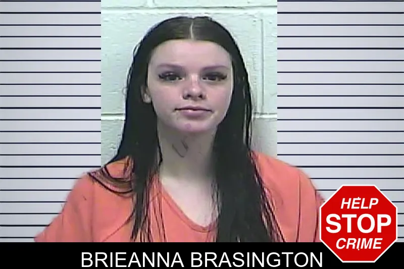 Brieanna Brasington Mugshots