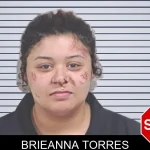 Brieanna Torres Mugshots