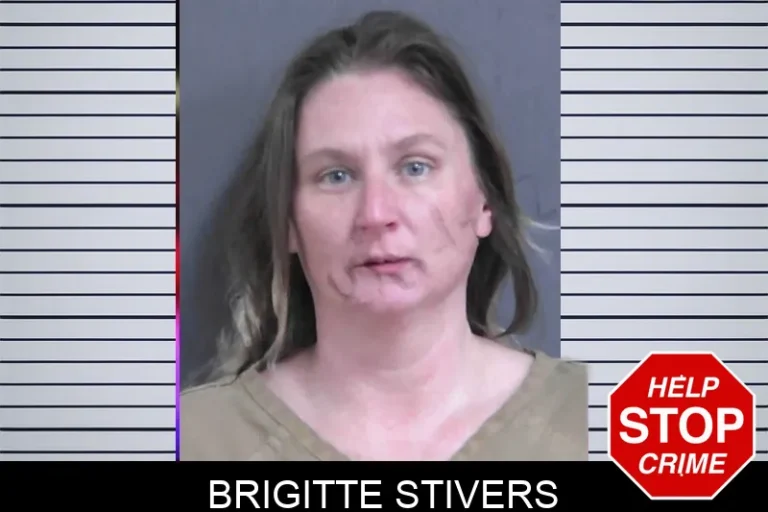 Brigitte Stivers mugshot – Gordon County , Georgia Brigitte Stivers