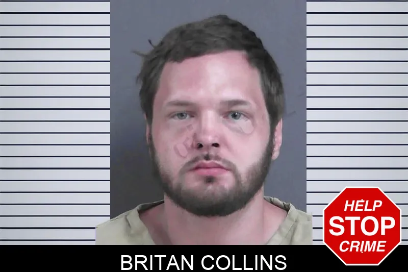 Britan Collins mugshot – Gordon County , Georgia Britan Collins mugshot