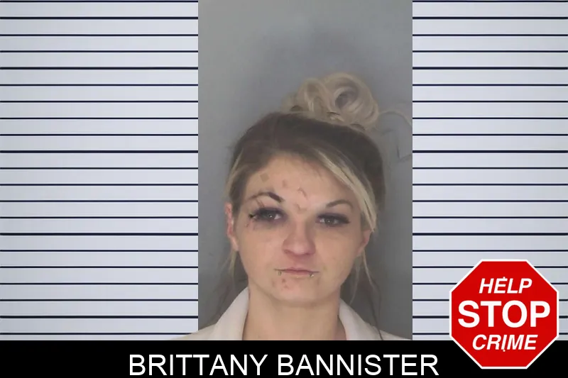 Brittany Bannister Mugshots