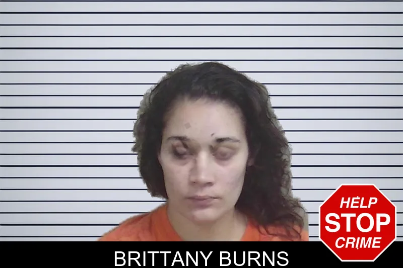 Brittany Burns Mugshots