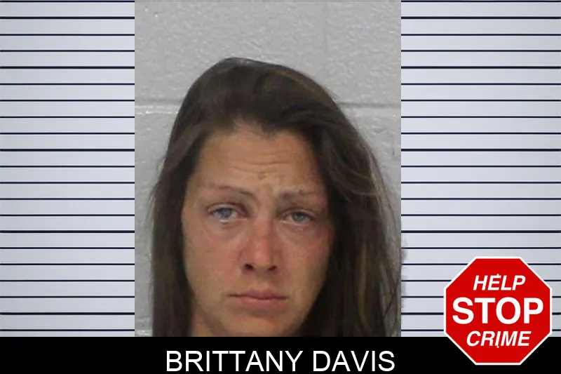 Brittany Davis Mugshots
