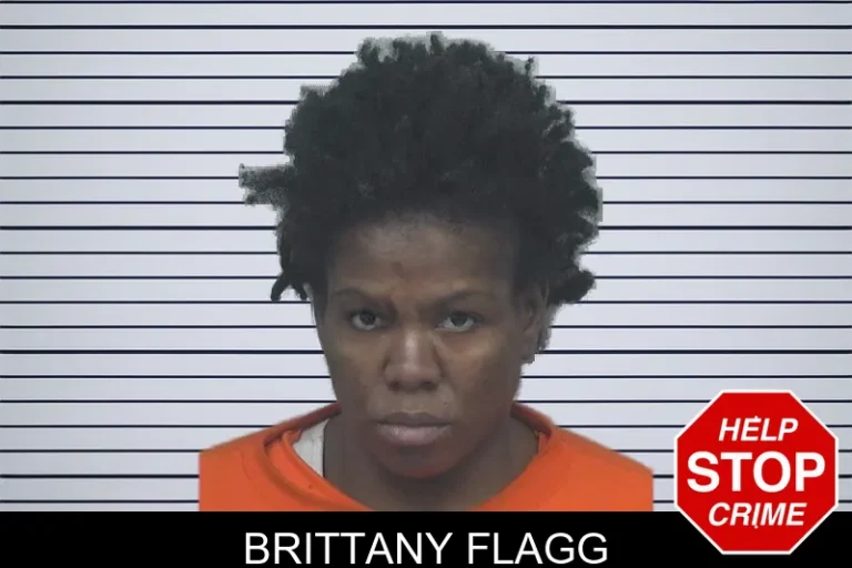 Brittany Flagg mugshot – Gwinnett County , Georgia Brittany Flagg