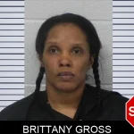 Brittany Gross Mugshots