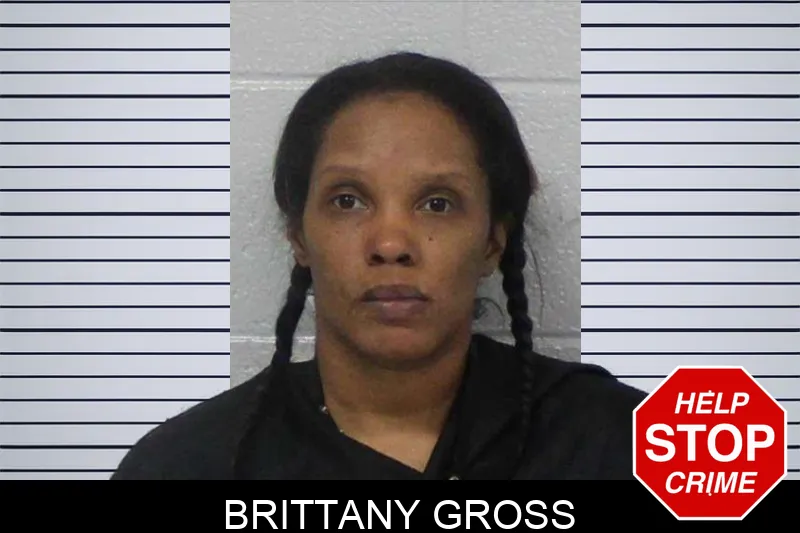 Brittany Gross Mugshots