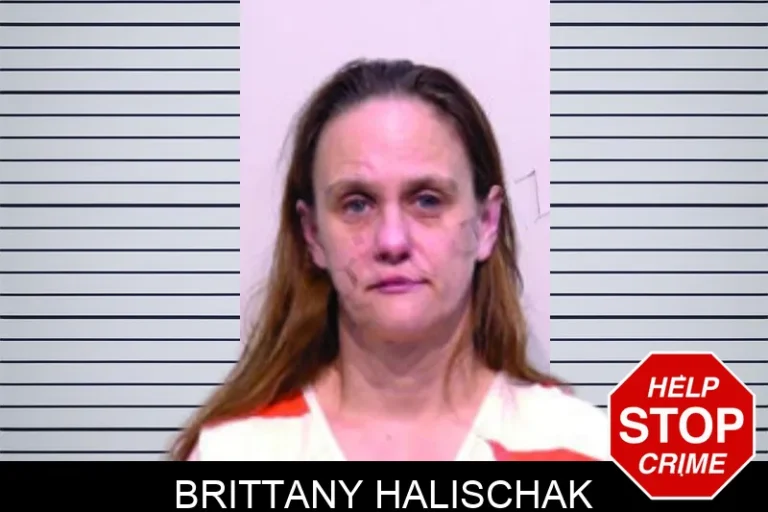 Brittany Halischak mugshot – Bartow County , Georgia Brittany Halischak