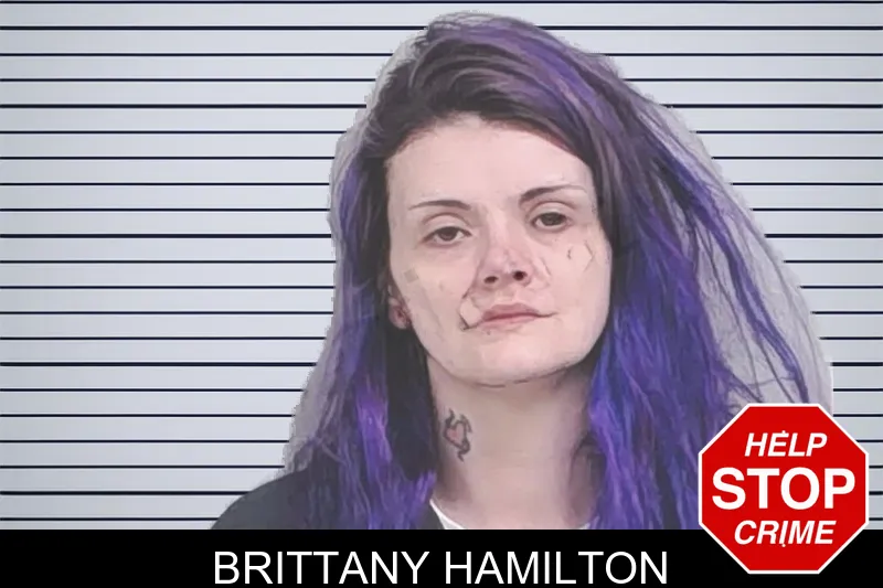 Brittany Hamilton mugshot
