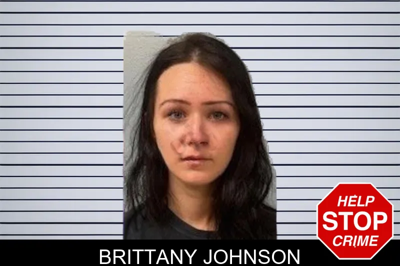 Brittany Johnson mugshot – Mcintosh County , Georgia Brittany Johnson mugshot