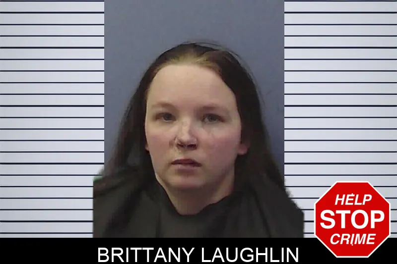 Brittany Laughlin Mugshots