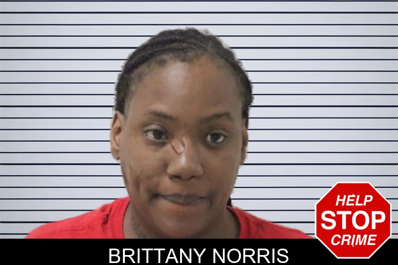 Brittany Norris Mugshots