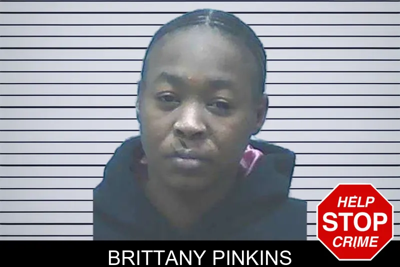 Brittany Pinkins Mugshots