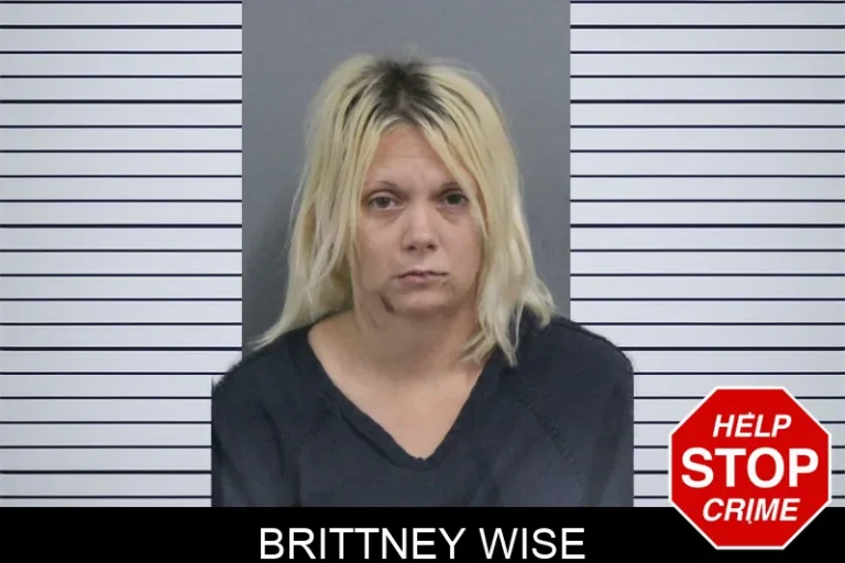 Brittney Wise mugshot – Catoosa County , Georgia Brittney Wise
