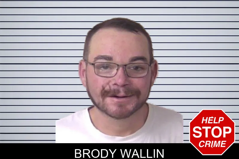 Brody Wallin mugshot
