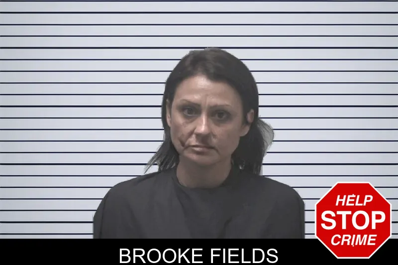 Brooke Fields Mugshots