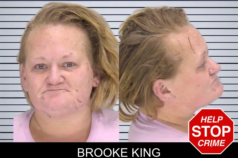 Brooke King Mugshots