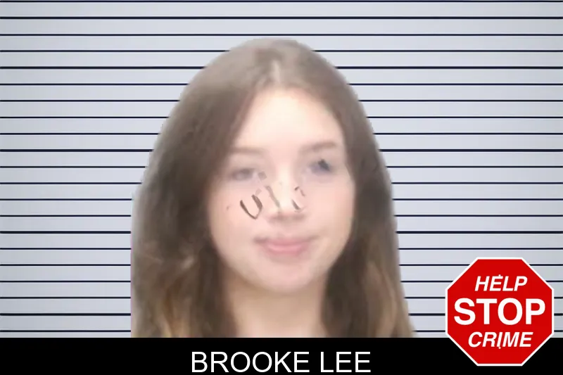Brooke Lee Mugshots