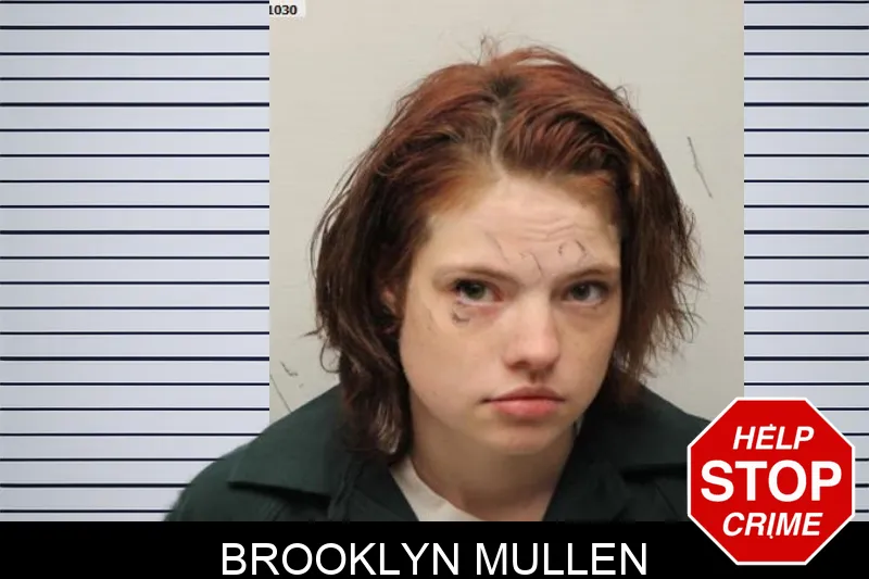 Brooklyn Mullen mugshot – Chatham County , Georgia Brooklyn Mullen mugshot